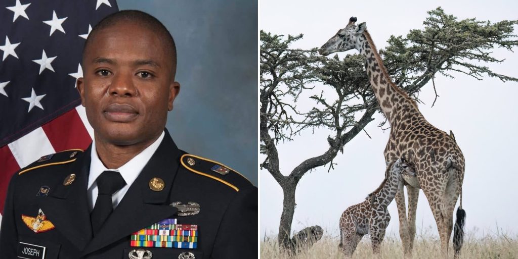 Rod Joseph reckons giraffes prove people are
